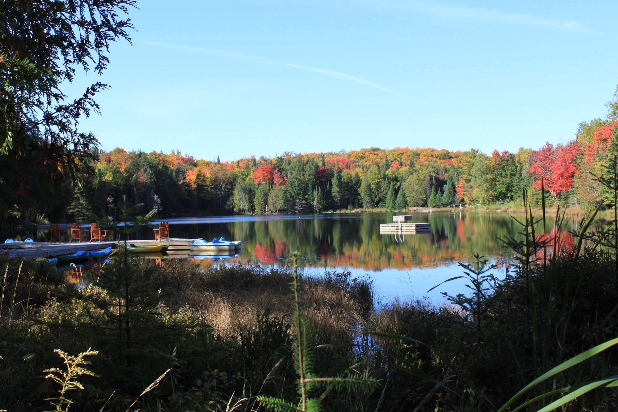 Blueberry Lake Resort Labelle Eksteriør billede