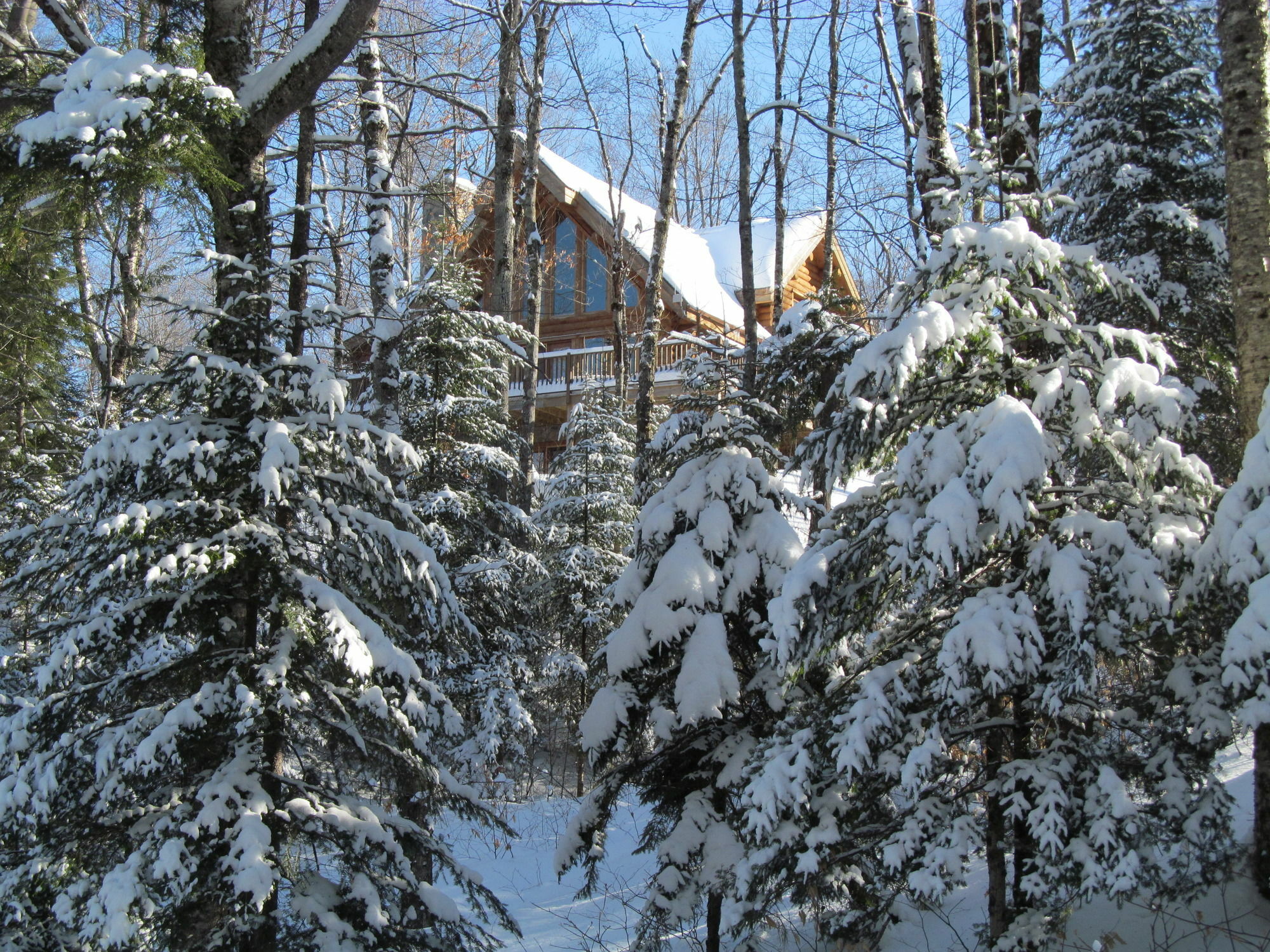 Blueberry Lake Resort Labelle Eksteriør billede